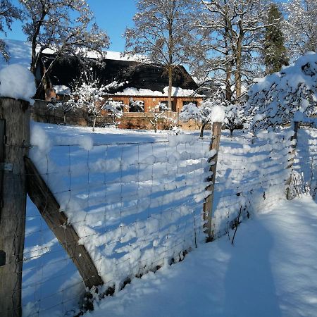 Gite Spacieux Et Cosy A La Campagne Proche De Strasbourg Achenheim ภายนอก รูปภาพ
