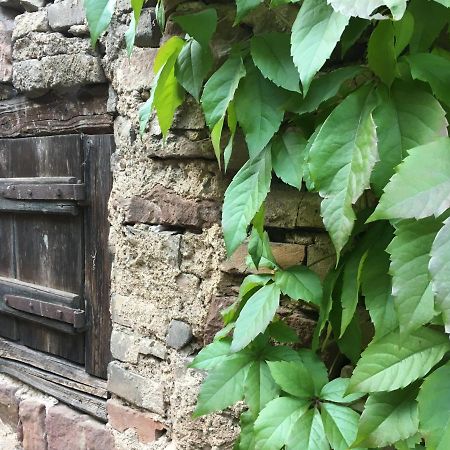 Gite Spacieux Et Cosy A La Campagne Proche De Strasbourg Achenheim ภายนอก รูปภาพ