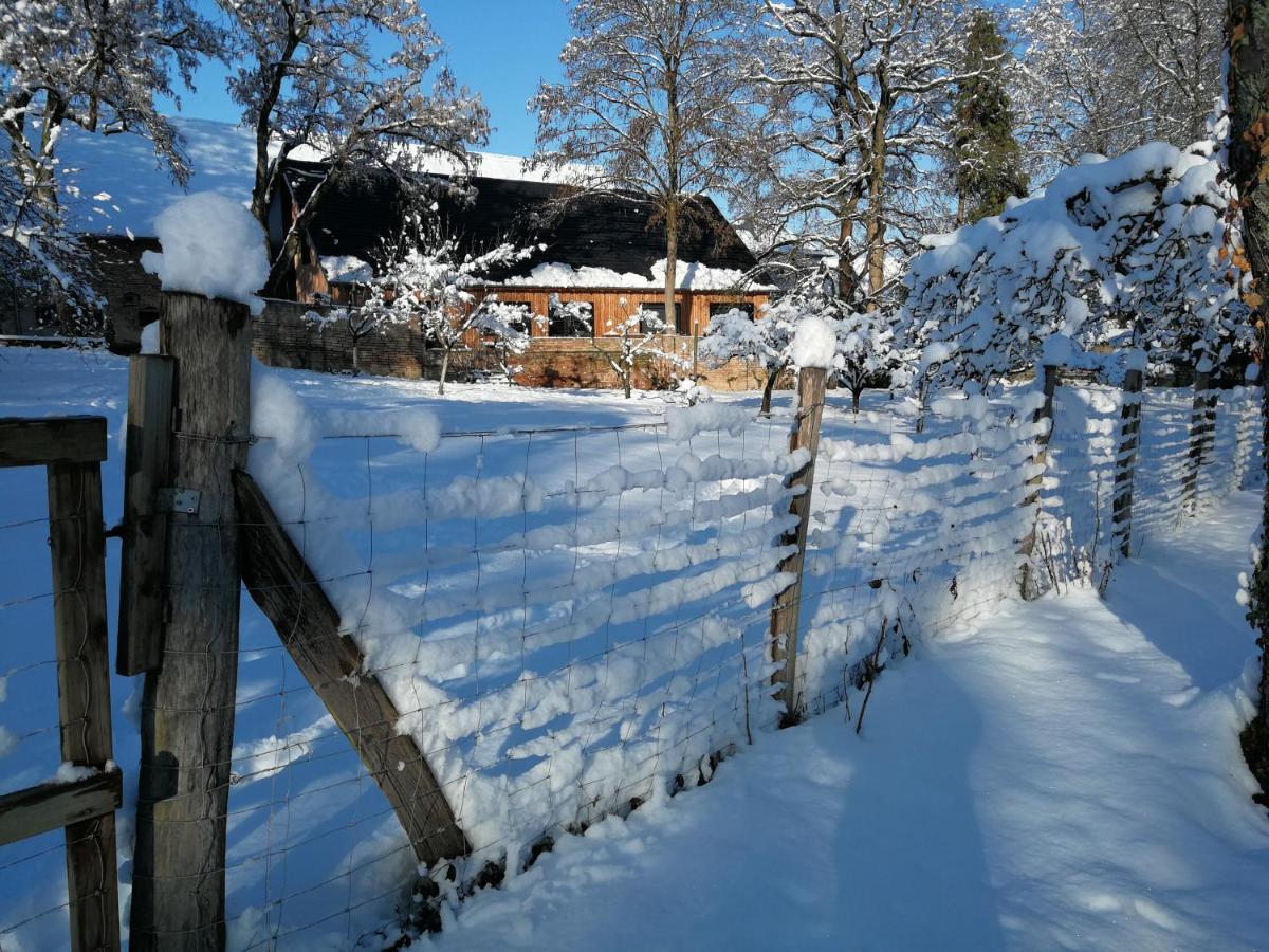 Gite Spacieux Et Cosy A La Campagne Proche De Strasbourg Achenheim ภายนอก รูปภาพ