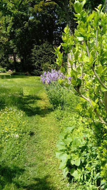 Gite Spacieux Et Cosy A La Campagne Proche De Strasbourg Achenheim ภายนอก รูปภาพ