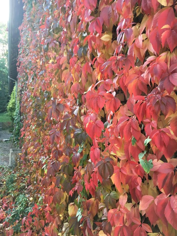 Gite Spacieux Et Cosy A La Campagne Proche De Strasbourg Achenheim ภายนอก รูปภาพ