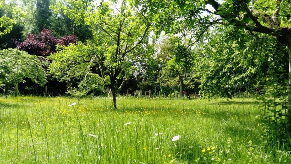 Gite Spacieux Et Cosy A La Campagne Proche De Strasbourg Achenheim ภายนอก รูปภาพ