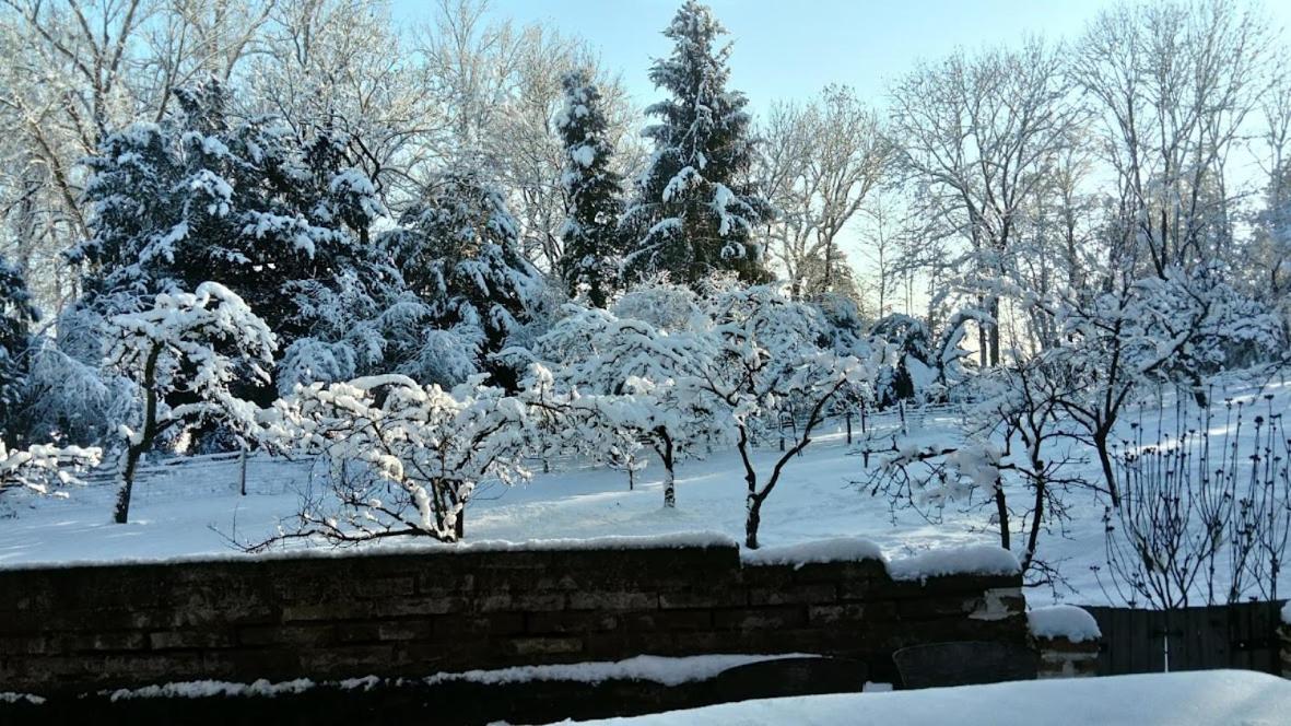 Gite Spacieux Et Cosy A La Campagne Proche De Strasbourg Achenheim ภายนอก รูปภาพ